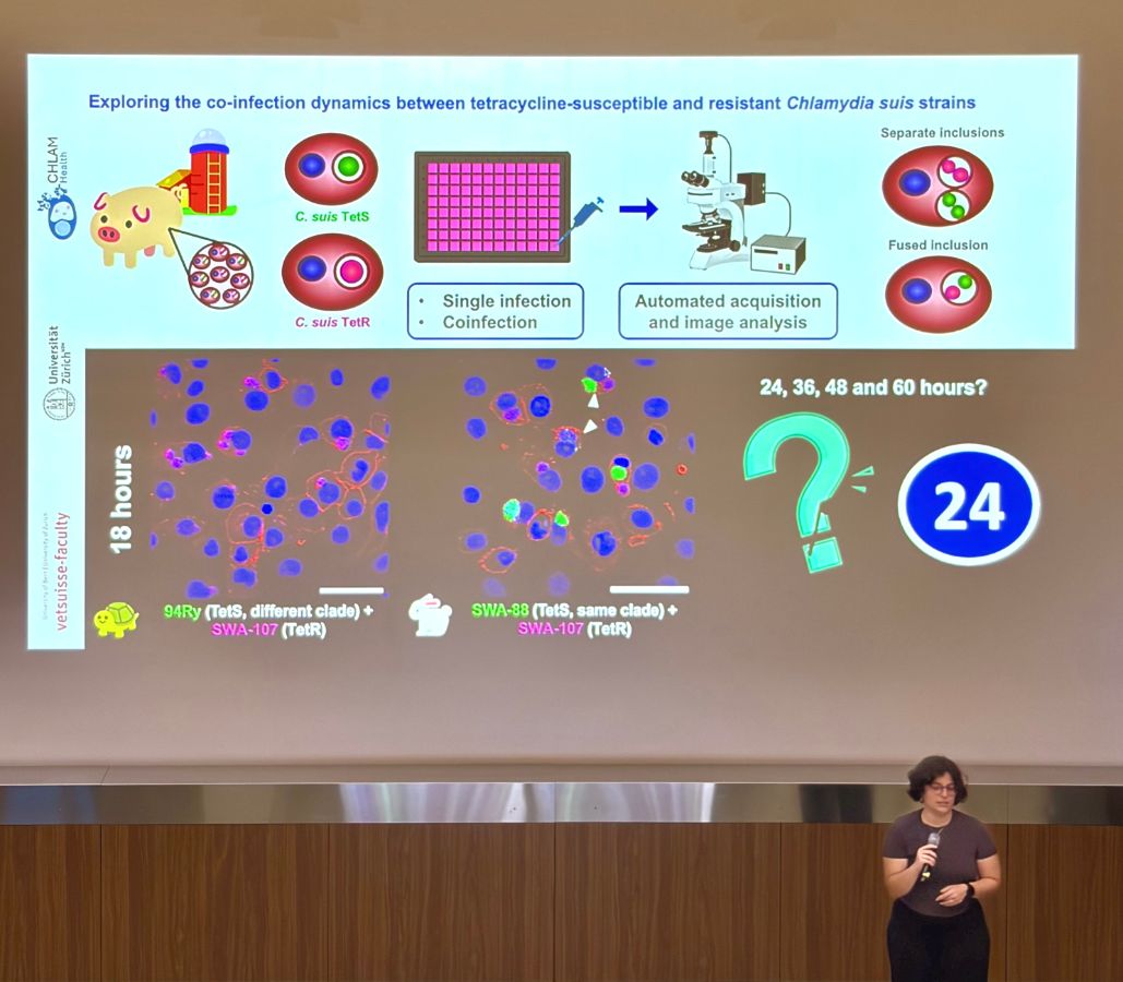Magdalena de Arriba presenting her research on co-infection dynamics in Chlamydia suis.